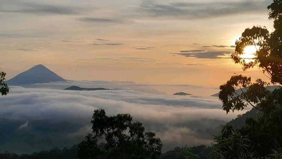 Arnolds Familly Homestay Bajawa Extérieur photo